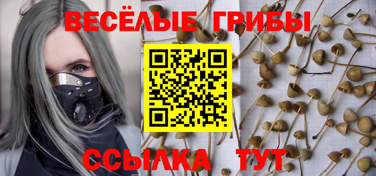 Псилоцибиновые грибы MAGIC MUSHROOMS  Вход с VPN  Звенигород 